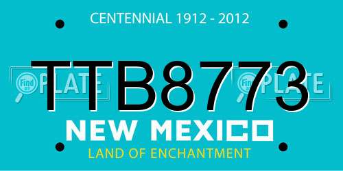 TTB8773 New Mexico License Plate