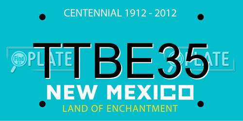 TTBE35 New Mexico License Plate
