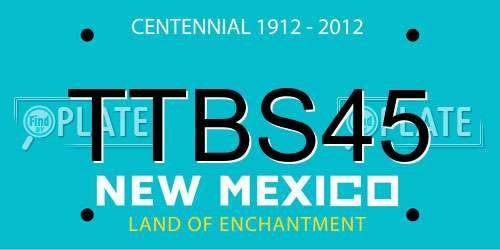 TTBS45 New Mexico License Plate