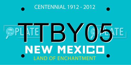 TTBY05 New Mexico License Plate