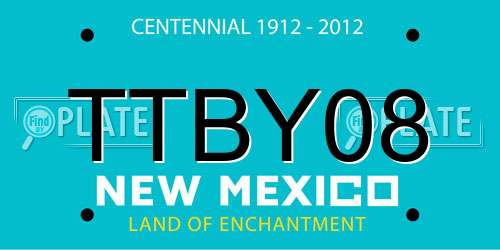 TTBY08 New Mexico License Plate