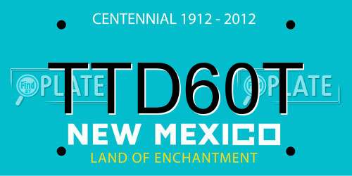 TTD60T New Mexico License Plate