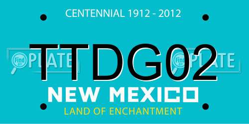 TTDG02 New Mexico License Plate