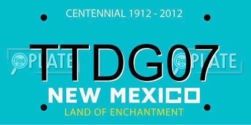 TTDG07 New Mexico License Plate