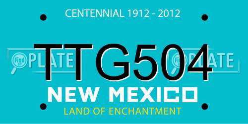 TTG504 New Mexico License Plate
