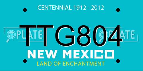 TTG804 New Mexico License Plate
