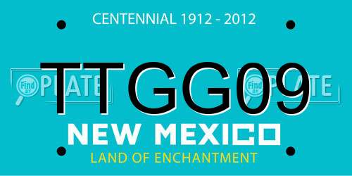 TTGG09 New Mexico License Plate