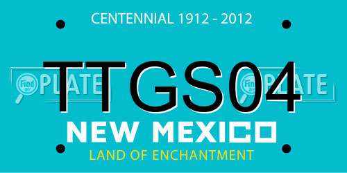 TTGS04 New Mexico License Plate