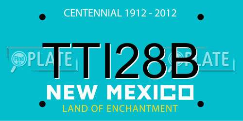 TTI28B New Mexico License Plate