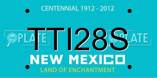 TTI28S New Mexico License Plate