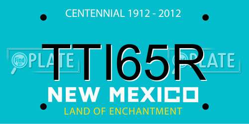 TTI65R New Mexico License Plate