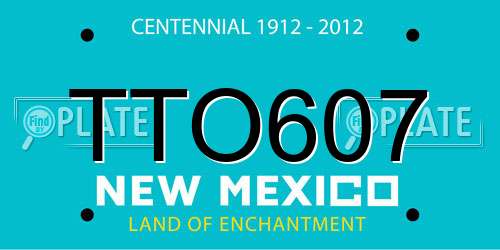 TTO607 New Mexico License Plate