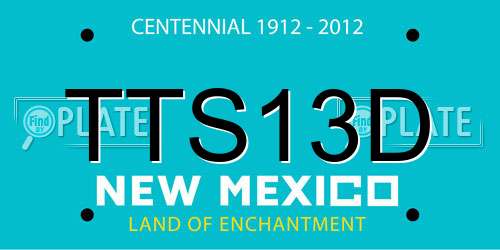 TTS13D New Mexico License Plate