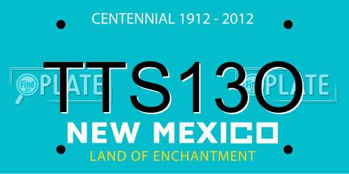 TTS13O New Mexico License Plate