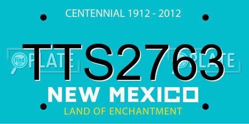 TTS2763 New Mexico License Plate