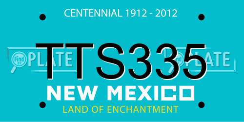 TTS335 New Mexico License Plate