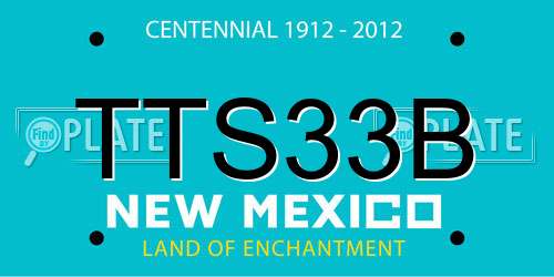 TTS33B New Mexico License Plate