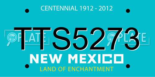 TTS5273 New Mexico License Plate