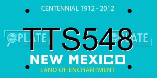TTS548 New Mexico License Plate