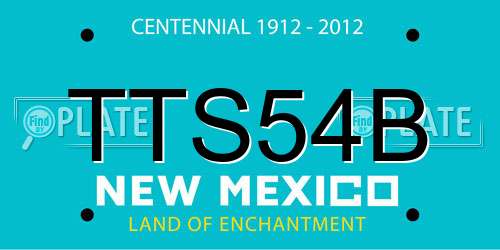 TTS54B New Mexico License Plate