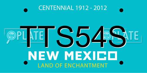 TTS54S New Mexico License Plate