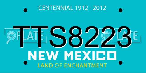 TTS8223 New Mexico License Plate