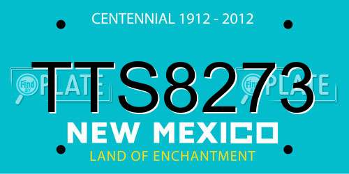 TTS8273 New Mexico License Plate