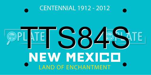 TTS84S New Mexico License Plate
