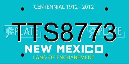 TTS8773 New Mexico License Plate