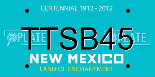 TTSB45 New Mexico License Plate