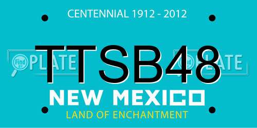 TTSB48 New Mexico License Plate