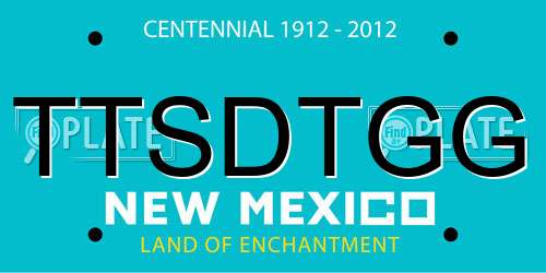 TTSDTGG New Mexico License Plate