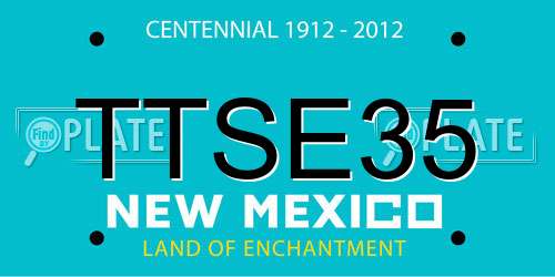 TTSE35 New Mexico License Plate