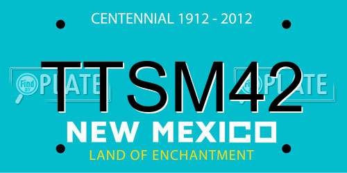 TTSM42 New Mexico License Plate
