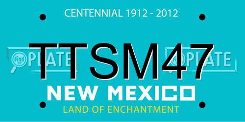 TTSM47 New Mexico License Plate