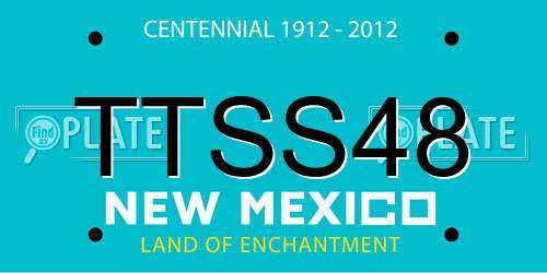 TTSS48 New Mexico License Plate