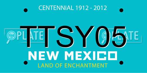 TTSY05 New Mexico License Plate
