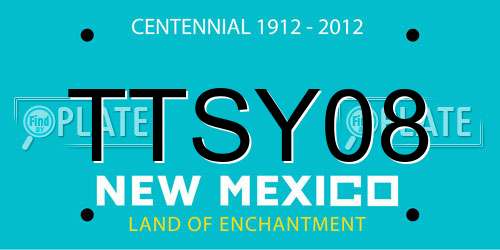 TTSY08 New Mexico License Plate
