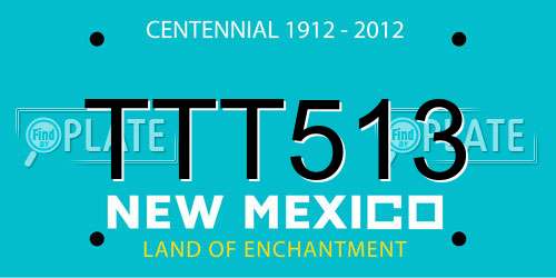 TTT513 New Mexico License Plate