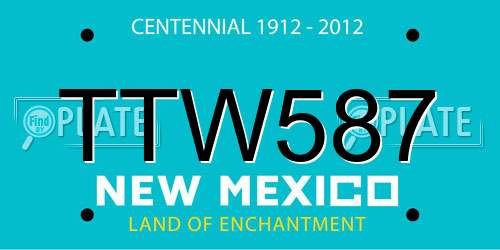 TTW587 New Mexico License Plate