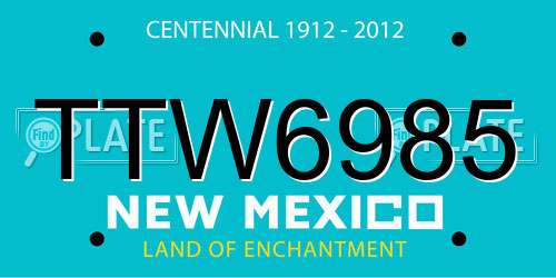 TTW6985 New Mexico License Plate