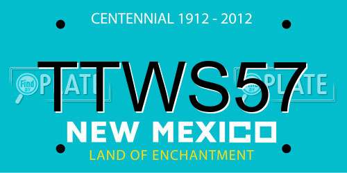 TTWS57 New Mexico License Plate