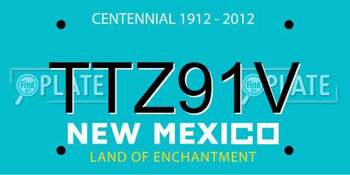 TTZ91V New Mexico License Plate