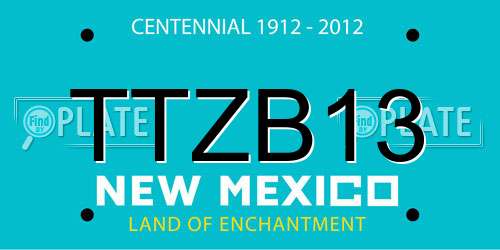 TTZB13 New Mexico License Plate