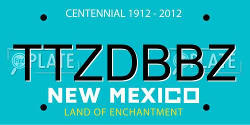 TTZDBBZ New Mexico License Plate