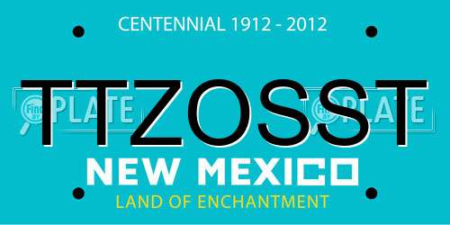 TTZOSST New Mexico License Plate
