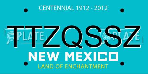 TTZQSSZ New Mexico License Plate