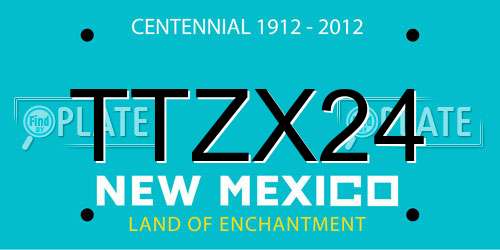 TTZX24 New Mexico License Plate