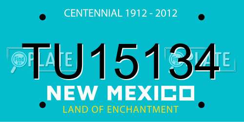 TU15134 New Mexico License Plate