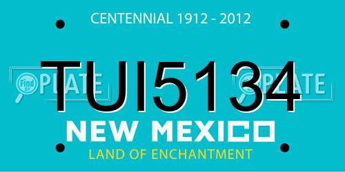 TUI5134 New Mexico License Plate